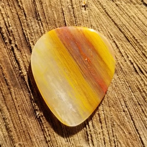 Arizona rainbow petrified wood stone guitar pick - standard, 2.8 mm - P1375
