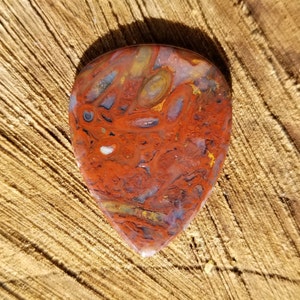 Petrified palm root stone guitar pick - teardrop, 2.5 mm - P1374
