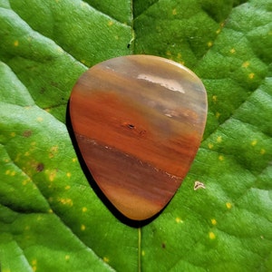 Arizona Rainbow petrified wood stone guitar pick, standard, 2.1 mm - P1497