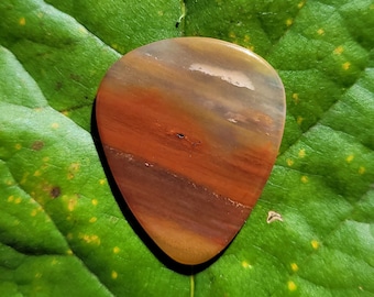 Arizona Rainbow versteend hout plectrum plectrum, standaard, 2,1 mm - P1497