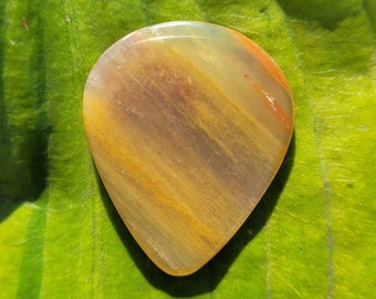 Arizona regenboog versteend hout plectrum plectrum, standaard, 2,5 mm - P1520
