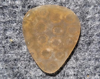 Indonesische plectrum van fossiele koraalsteen, standaard, 1,9 mm - P1815