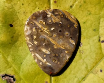 May include: A brown and white guitar pick with a unique pattern of swirls and dots. The pick is made of a natural material, possibly stone or agate.