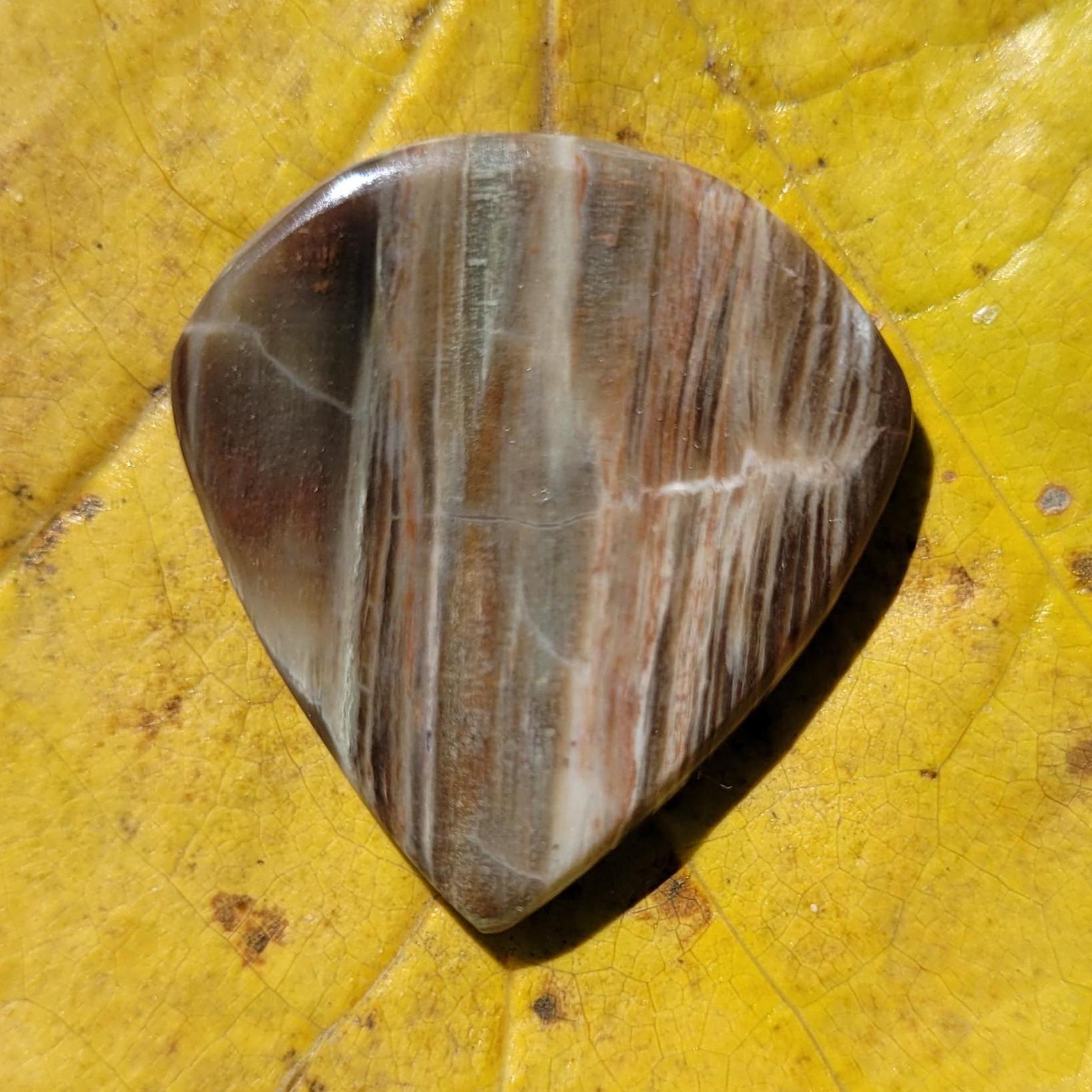 化石化した木質化石ギターピック、小型ジャズ、2.5 mm - P1786 - Etsy 日本