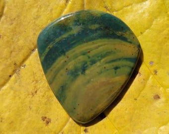 Rocky Butte foto jaspis plectrum, Jazz XL, 2,6 mm - P1804