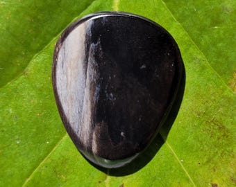 Dikke plectrum van versteend hout, standaard, 3,5 mm - P1831