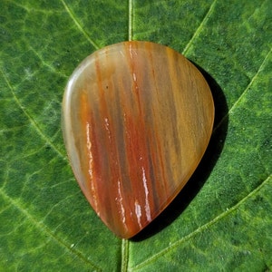 Arizona Rainbow petrified wood stone guitar pick, teardrop, 2.8 mm - P1473