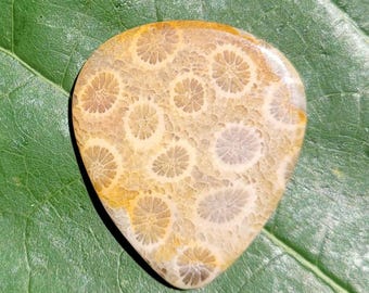 Indonesisch gitaarplectrum van fossiele koraalsteen, standaard, 2,9 mm - P1842