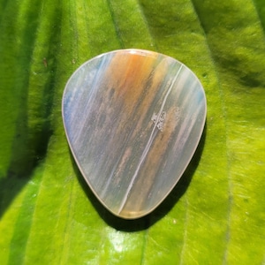 Arizona rainbow petrified wood stone guitar pick, standard, 2.3 mm - P1518