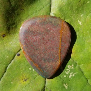 Fantasy jasper from India Stone guitar pick - standard, 2.4 mm - P1218