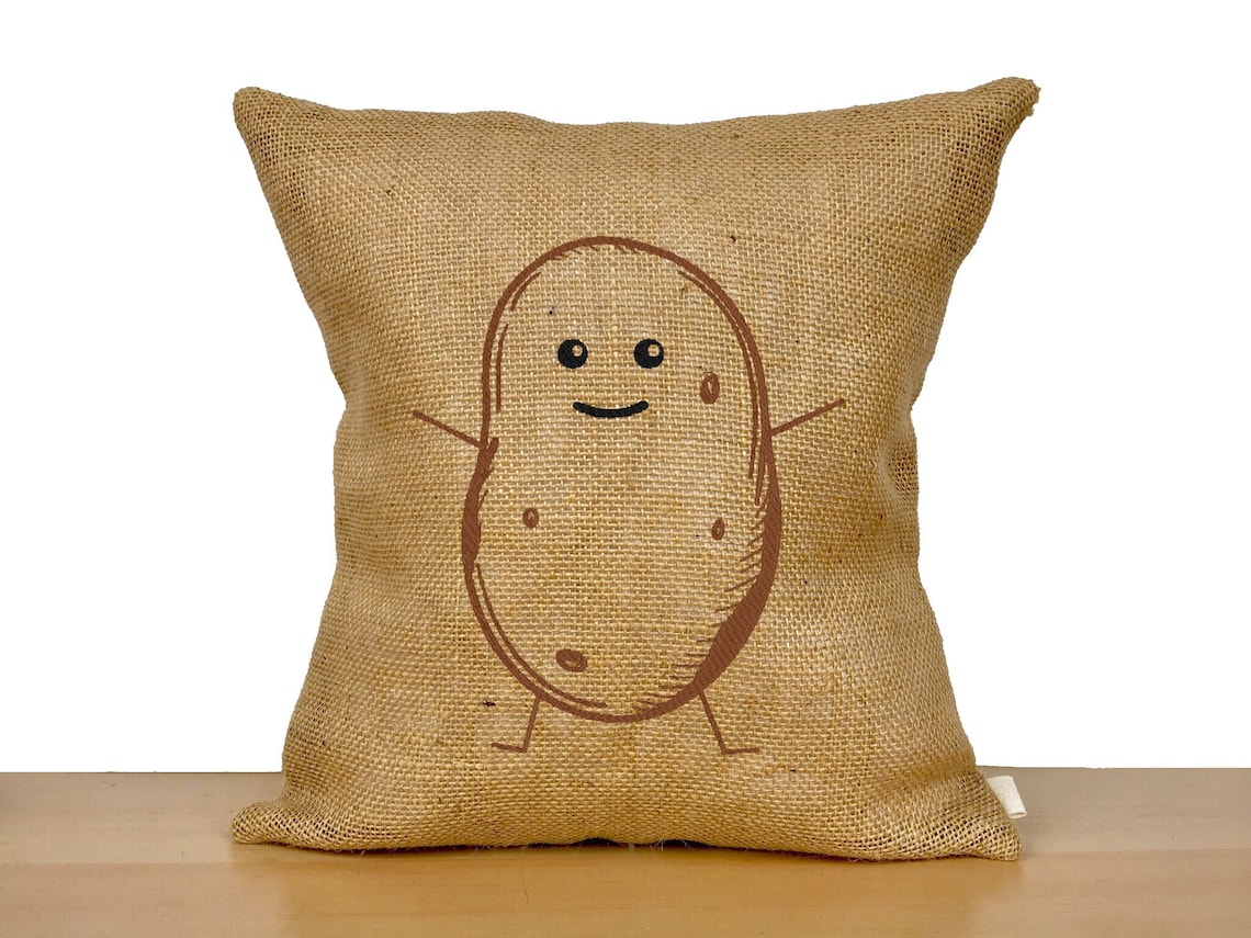 Funny couch pillow funny pillow funny decor funny gift gag Etsy