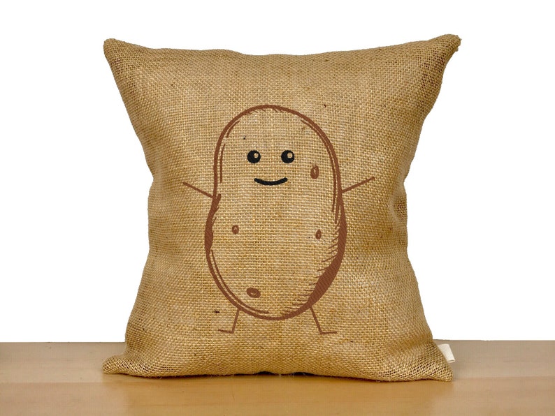 Funny Couch Pillow Funny Pillow Funny Decor Funny Gift Gag Etsy