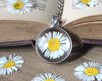 Small round DAISY terrarium pendant, made to order, wildflower woodland forest, pressed flower, christmas gift, herbarium, flower child