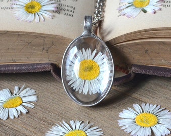 Small oval DAISY terrarium pendant, made to order, wildflower woodland forest, pressed flower, christmas gift, herbarium, flower child