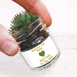 May include: A small glass jar containing a green succulent plant. The jar has a white label with the text "Ready to Pop" in gold lettering and a green heart. The label also includes the text "Baby Noah 1st July 2025" in gold lettering.