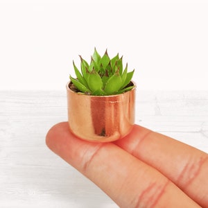 May include: A miniature succulent plant in a copper-coloured pot. The plant has bright green leaves with reddish tips. The pot is held on a fingertip, highlighting its small size. The background is a plain white surface.