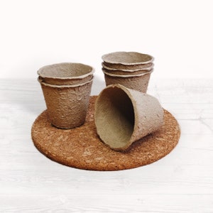 May include: Several small, brown, biodegradable plant pots are displayed on a round cork coaster. The pots have a textured, paper-like finish, suitable for seedlings. The background is a white wooden surface. The pots are ideal for starting seeds.