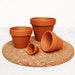 see more listings in the Planty Accessories section