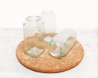 Clear Cutting Glass Jar - Ideal Gift Houseplant Propagation, Flower Bottle, Cutting Container | 4x9cm Zero Plastic