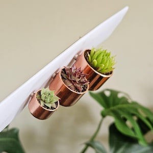 May include: Three small, cylindrical copper-toned planters are attached to a white angled surface. Each planter holds a single succulent plant, with the smallest containing a light green succulent, the middle a dark purple one, and the largest a bright green one.