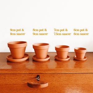 The Natural Terracotta Saucers Selection Sustainable Small Eco-friendly Plant Dish, Zero Plastic Tiny Mini Large Trays 6 18cm image 4