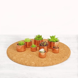 May include: A selection of small copper-coloured planters, each containing a different variety of succulent plants. The planters are arranged on a round, brown cork surface. The succulents display various shades of green and red.