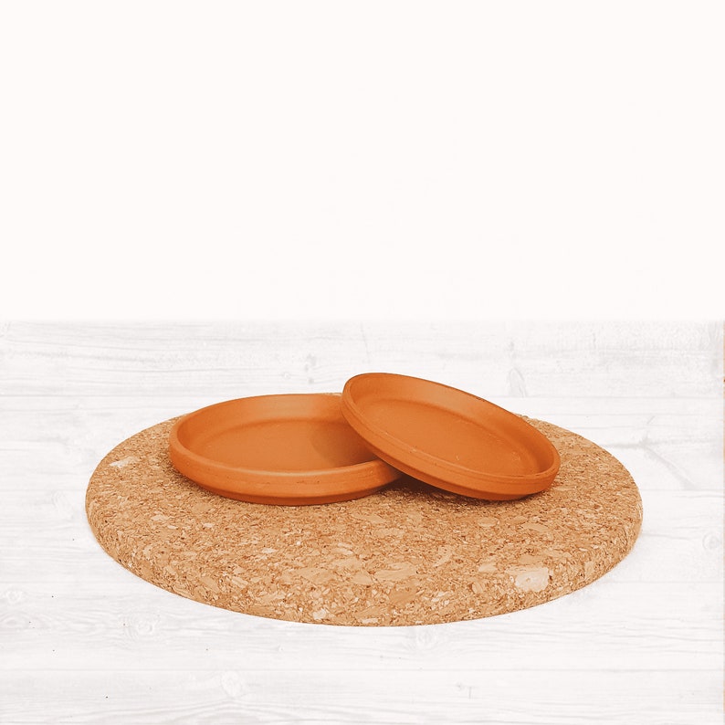 The Natural Terracotta Saucers Selection Sustainable Small Eco-friendly Plant Dish, Zero Plastic Tiny Mini Large Trays 6 18cm image 3