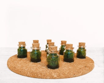 The 3cm Tiny Moss Terrarium - Tiny Enclosed Ecosystem, Sustainable Small Eco-friendly Plant, Zero Plastic Glass Bottle Mossarium