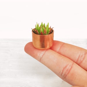 May include: A small succulent plant in a copper pot. The pot is approximately 2.5 cm in diameter and the plant is about 2.5 cm tall.