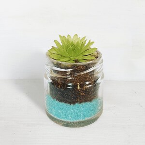 May include: A small glass jar containing a green succulent plant. The jar is filled with brown soil and blue decorative stones.