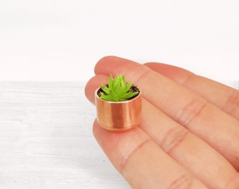 Minute Succulent Copper Pot Gifts - Sustainable Industrial Small Eco-friendly Plant, Zero Plastic Metal Tiny Sempervivum | Just 1.6cm Yes!