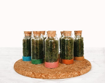 The Colourful 7.5cm Mini Moss Terrarium - Tiny Enclosed Ecosystem, Sustainable Small Eco-friendly Plant, Zero Plastic Glass Bottle Mossarium