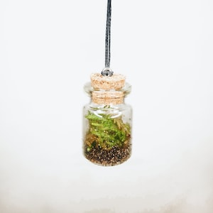 The 3cm Tiny Moss Terrarium Necklace - Tiny Enclosed Ecosystem, Sustainable Small Eco-friendly Plant, Zero Plastic Glass Bottle Mossarium