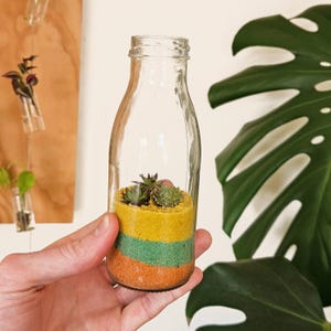 May include: A clear glass bottle terrarium with layers of orange, green, and yellow sand, topped with small succulents. The bottle is held in a hand, with a large green leaf in the background.