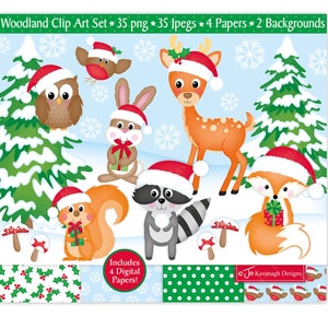Clipart Noël, clipart animaux de la forêt Noël, animaux de la forêt, Noël papiers numériques, renard, hibou, raton laveur, usage commercial (C30)