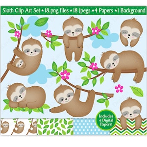 Clipart paresseux, mignon paresseux clipart, paresseux somnolents, bébé paresseux Clip Art, paresseux, papiers numériques paresseux, usage Commercial (C28)