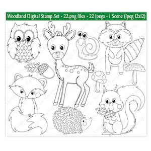 Selos digitais de animais da floresta, selos digitais, selos da floresta, selos de animais da floresta, clipart da floresta, clipart de animais, uso comercial (S25)