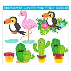 Flamingo Clipart & Digital Papers,cactus Clipart,summer Clip Art,toucan ...