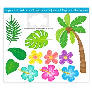 Flamingo Clipart & Digital Papers,cactus Clipart,summer Clip Art,toucan ...
