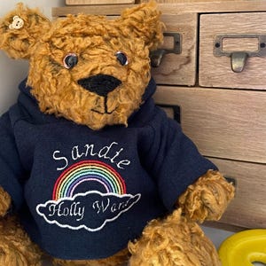 Brown bear wearing a blue hoodie