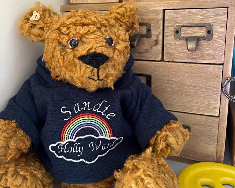 Brown bear wearing a blue hoodie