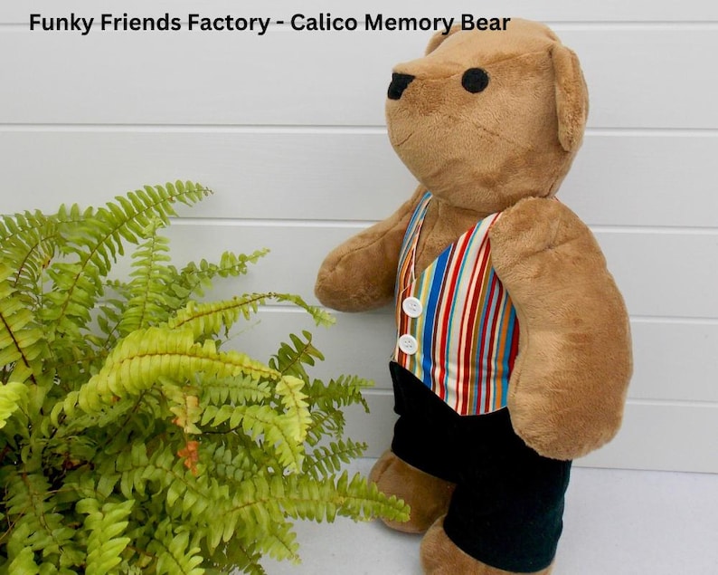 May include: A brown teddy bear wearing a colourful striped waistcoat and black trousers. The bear is standing on a white surface with a green fern plant in the background.