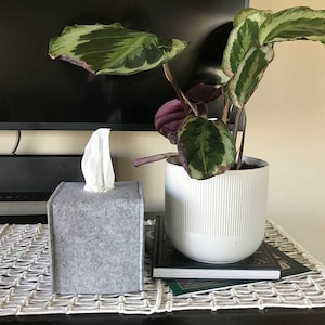 May include: A gray felt tissue box with a white tissue emerging from the top. Beside it is a potted plant with green and purple leaves in a white pot. The items are on a table with a white woven mat.