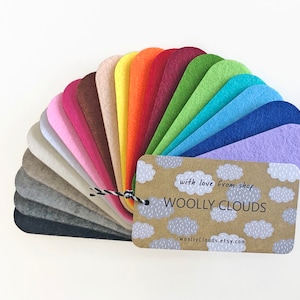 Campioni di colore / Campioni di feltro di lana / Campioni di tessuto microvelour / Campioni di pelle vegana / Set di 22 campioni di feltro ecologico