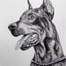 see more listings in the A4/8x11" pet portraits section