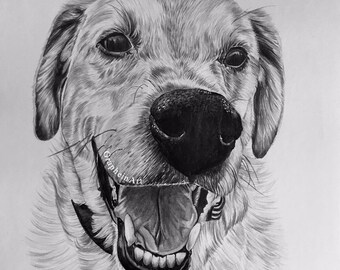 Custom drawing - hand drawn pet portrait, memorial gift, special occasion