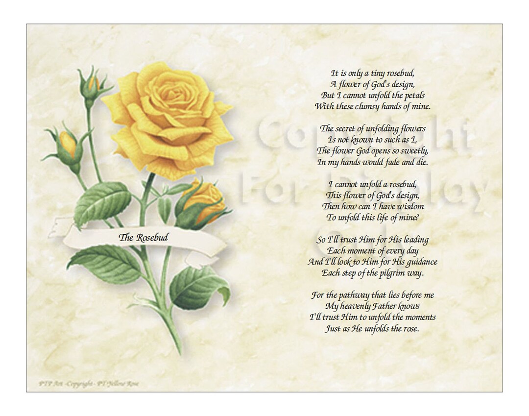 The Rosebud Christian Poem Yellow Rose Art 8.5 X 11 Etsy