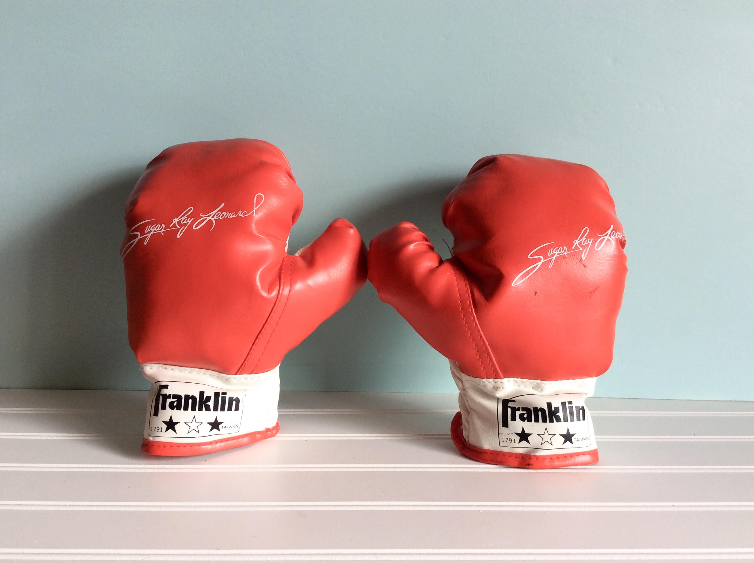 Franklin sales boxing gloves