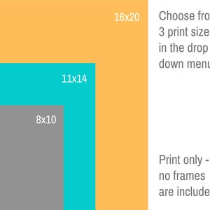 May include: A graphic showing three different print sizes: 8x10 inches, 11x14 inches, and 16x20 inches. The text says "Choose from 3 print sizes in the drop down menu. Print only - no frames are included."