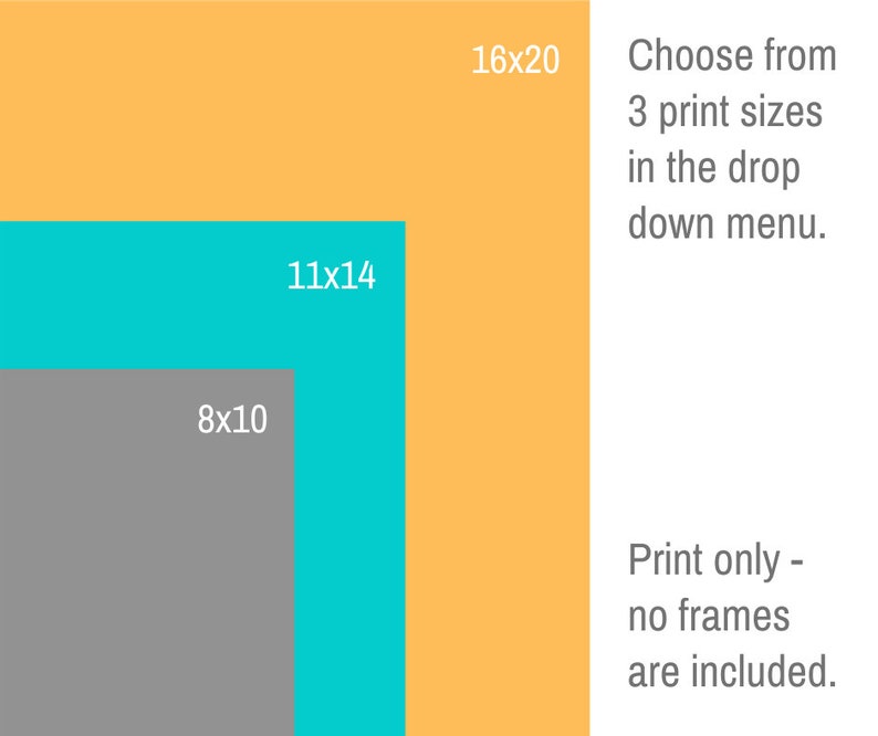 May include: A graphic showing three different print sizes: 8x10 inches, 11x14 inches, and 16x20 inches. The text says "Choose from 3 print sizes in the drop down menu. Print only - no frames are included."